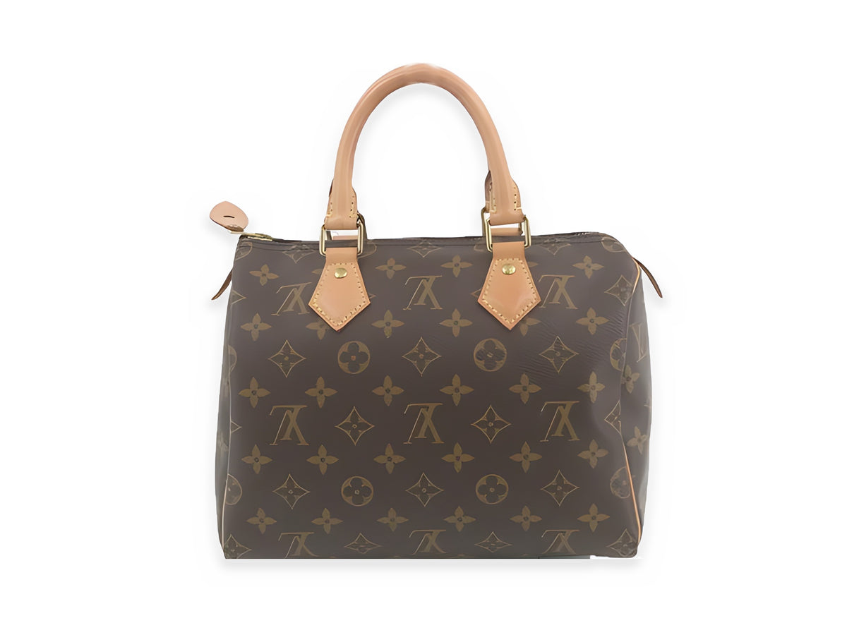 Louis Vuitton Speedy 25 Toile Monogram - vue de dos
