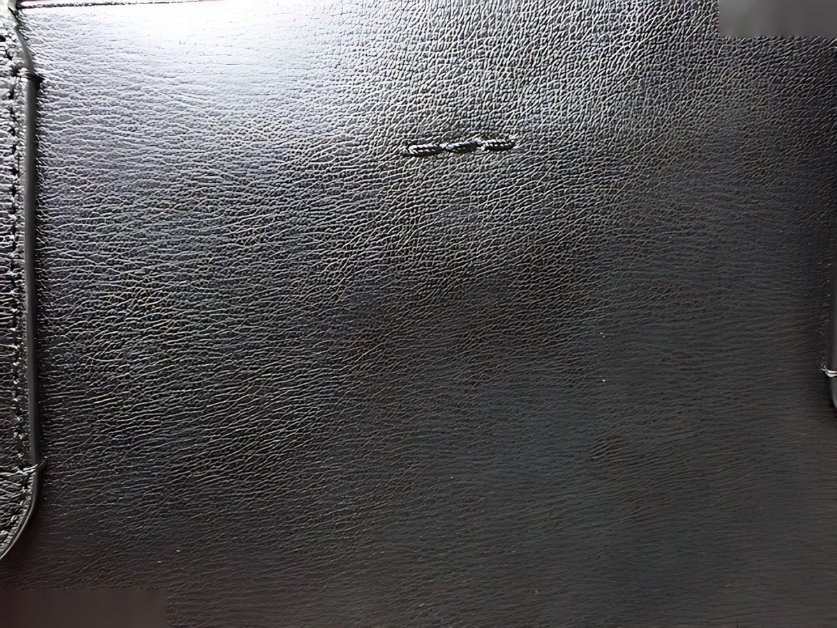 Coach Avenue Tote noir — détail 3