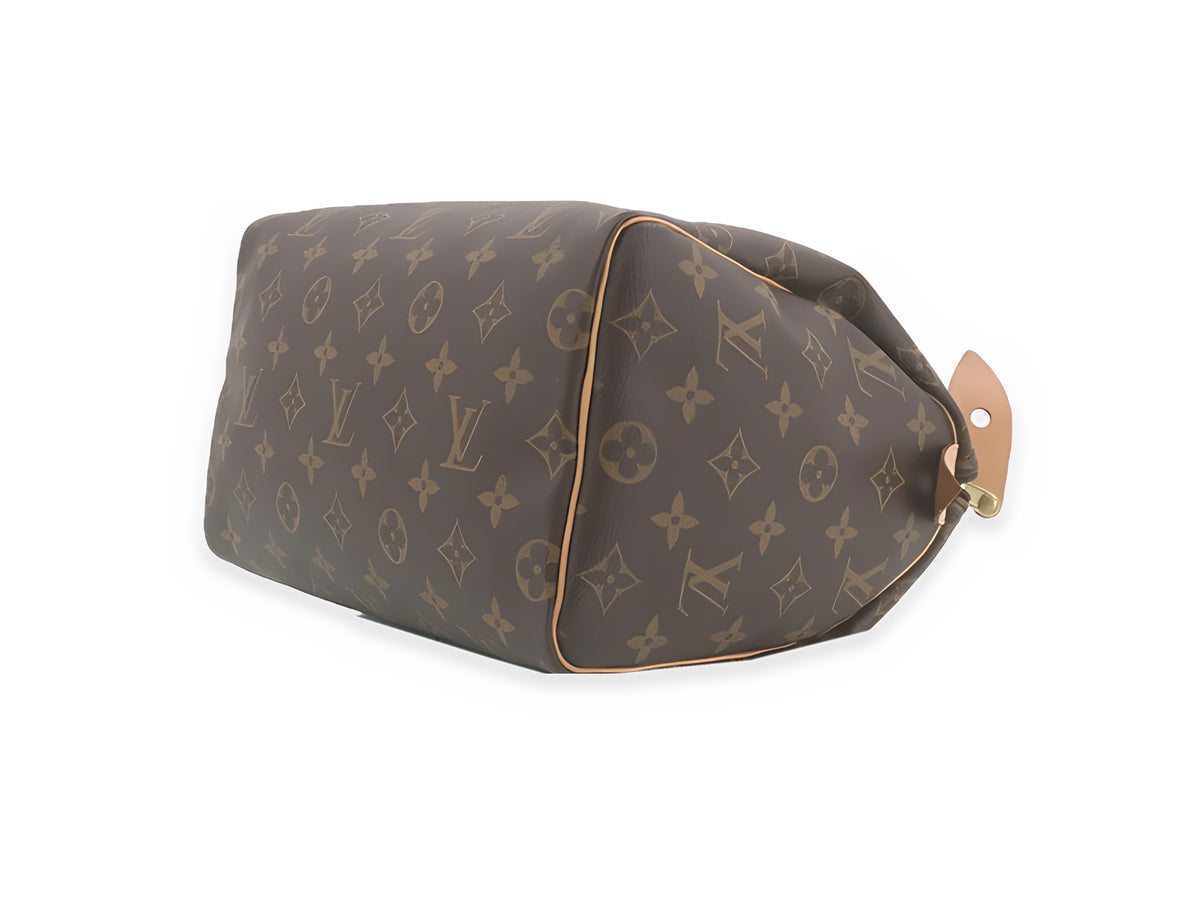 Louis Vuitton Speedy 25 Toile Monogram - dessous, autre angle