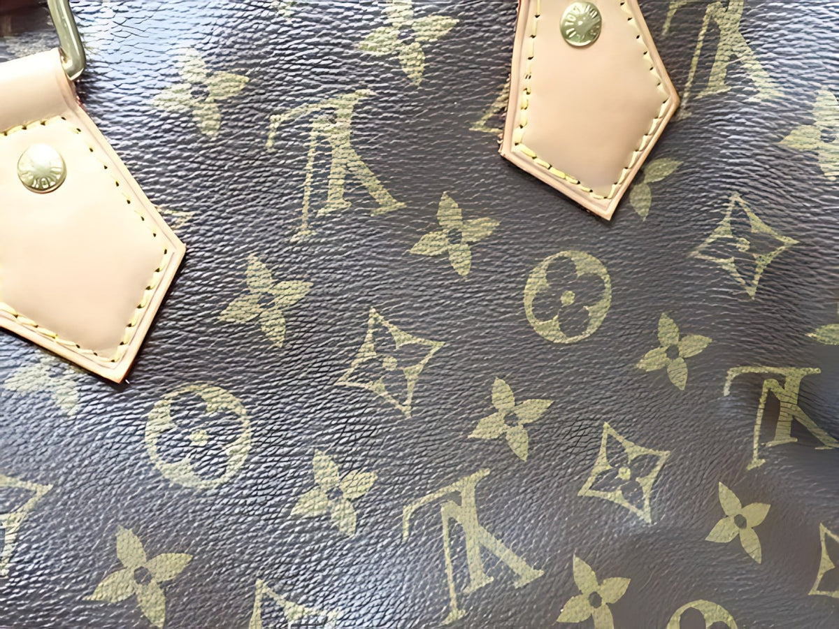 Louis Vuitton Speedy 25 - détail attaches des anses
